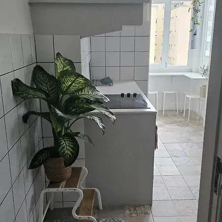 Privada 3 Grande Con Balcon *